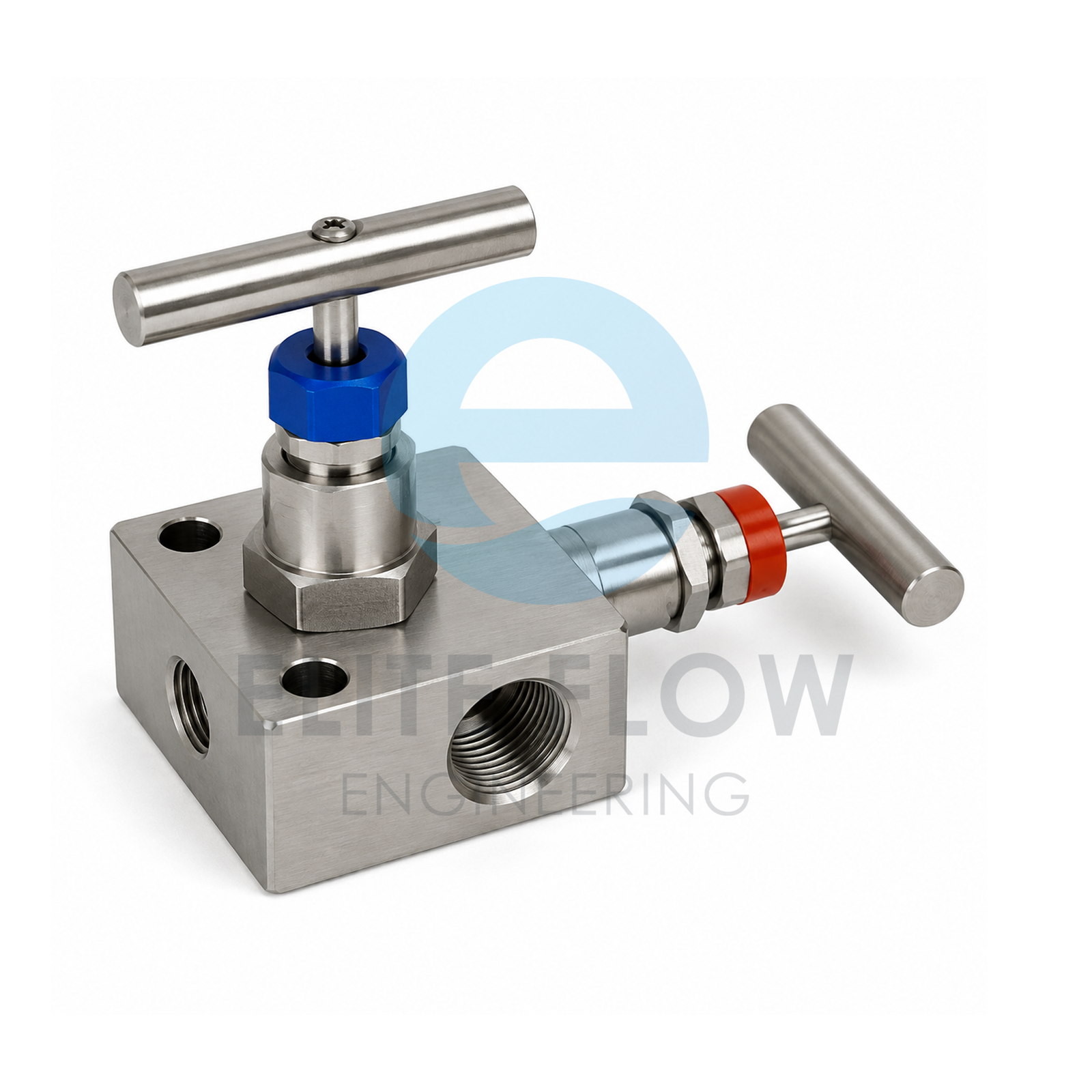 2-Way Manifold Valve R type